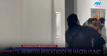 Magaly Medina cuestiona destino de perros rescatados en SJM: “¿Cómo estar seguros que no han caído nuevamente en manos inescrupulosas? Captura: Magaly TV La Firme.