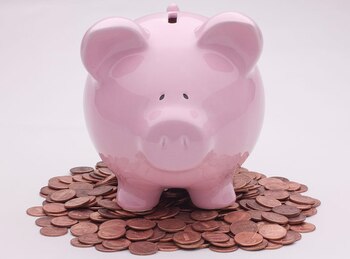 La OCDE pidió al gobierno