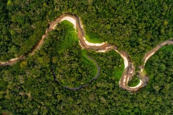 El Amazonas almacena cerca de 123.000 millones de toneladas de carbono, un factor clave frente al cambio climático (EFE)