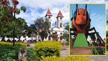 Boyacá tiene la abeja más