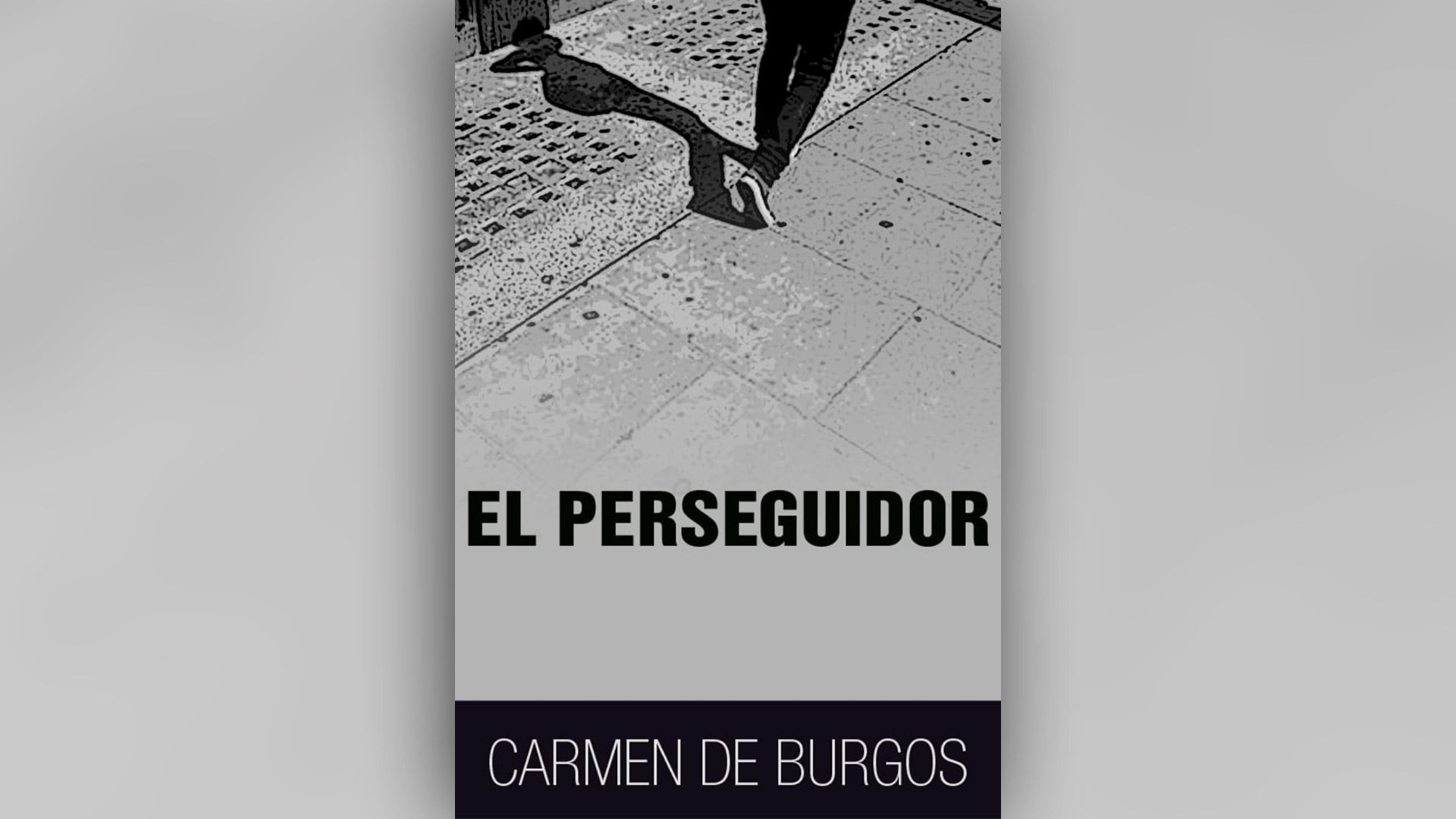 El perseguidor narra la historia de Matilde, una joven andaluza viuda que rechaza volver a la casa familiar y decide viajar sola por Italia, Suiza, Noruega y Londres.