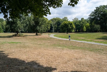 Áreas extensas de césped seco contrastan con zonas aún verdes en un parque de la ciudad, reflejando el impacto desigual de la sequía en los ecosistemas urbanos.