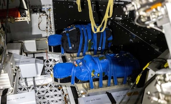 Dos maniquíes equipados con miles de sensores viajaron a bordo de la cápsula Orión durante Artemis I (NASA)