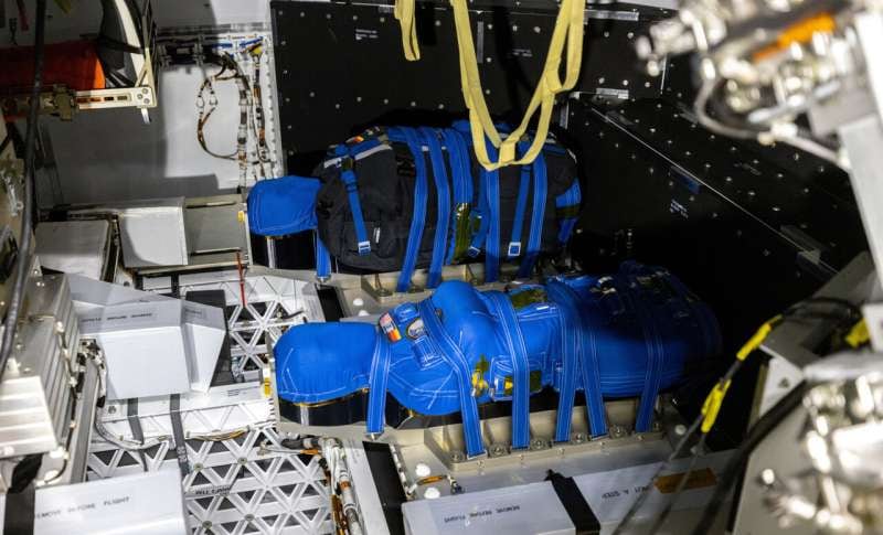 Dos maniquíes equipados con miles de sensores viajaron a bordo de la cápsula Orión durante Artemis I (NASA)