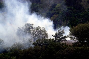 Los incendios forestales incrementan en