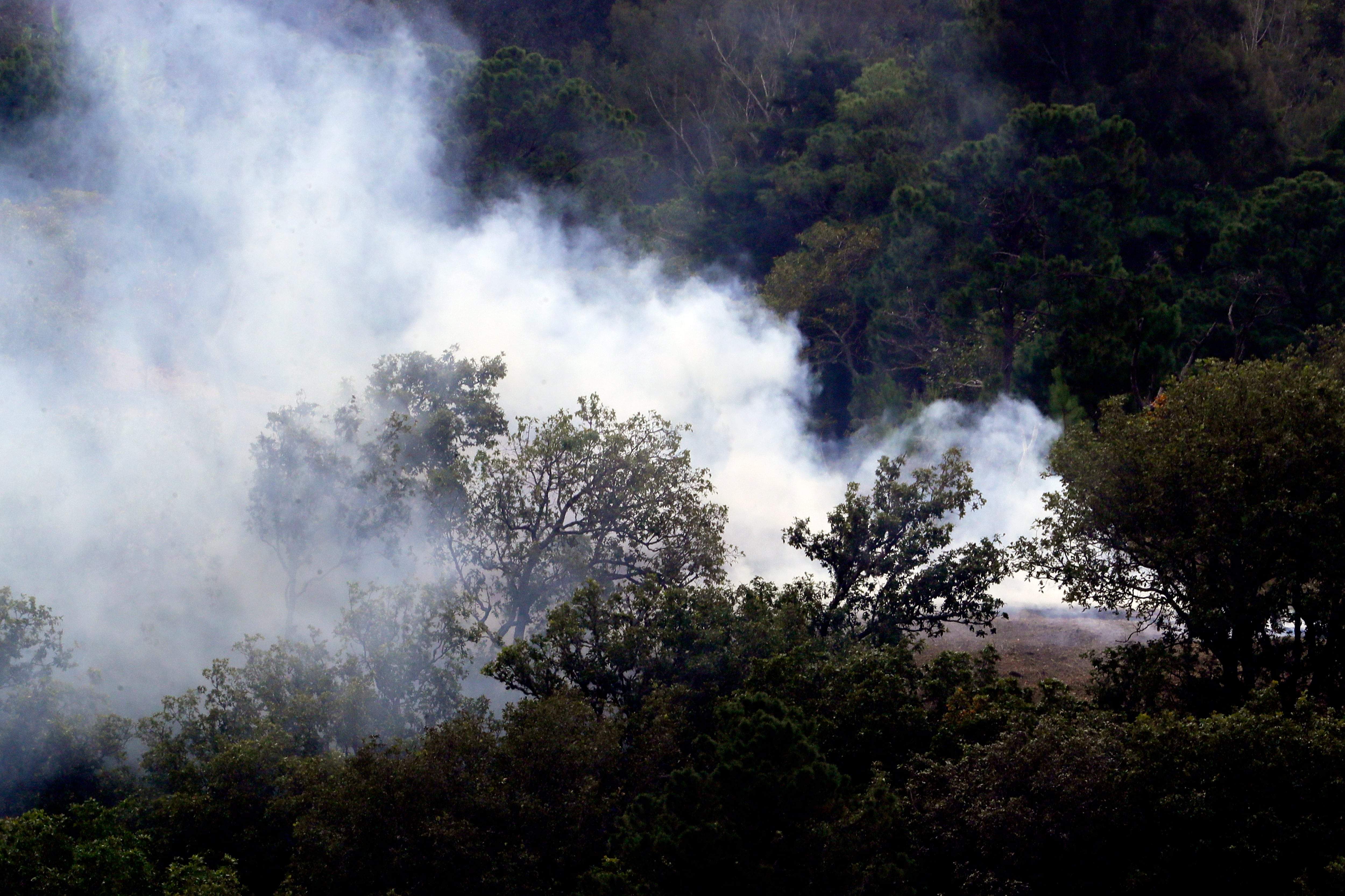 Las labores de extinción se realizan junto a otras instituciones del Estado. (Foto: EFE/ Gustavo Amador)