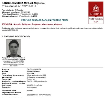 Michael Alejandro Castillo Murga tenía orden de captura internacional. (Imagen: FGR)