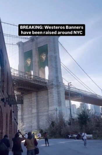 Pendones verdes en apoyo al