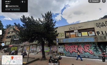 La presencia de este pino,