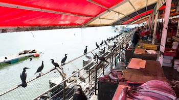 Puestos de venta con pescado bajo un toldo rojo, con cormoranes posados en la reja del río Valdivia y lobos marinos en el agua