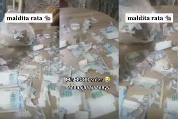Mujer se mostró impotente luego que una rata rompiera sus ahorros.