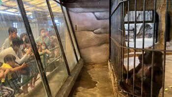 Continúa la lucha para liberar