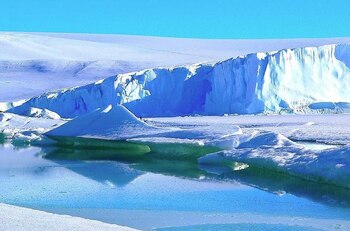 Rusia propuso organizar una expedición