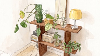 6 plantas de interior que los diseñadores consideran obras de arte vivientes
