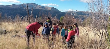 Vivero Niños del Lago
