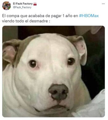 Los mejores memes que dejó