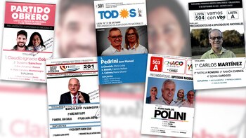 La provincia de Chaco eligió