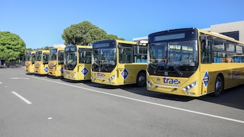 El TRAE sostuvo que el transporte estudiantil gratuito facilita la asistencia regular a clases y la permanencia de los alumnos en el sistema educativo. (Foto: Presidencia de la República Dominicana)