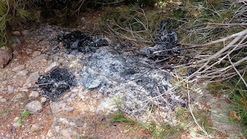 Detenidos un hombre y una mujer en Reus por tres incendios provocados en el Baix Camp (Tarragona)