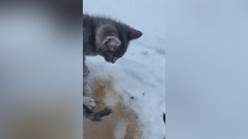 (Foto: Facebook @KendallDiwisch)