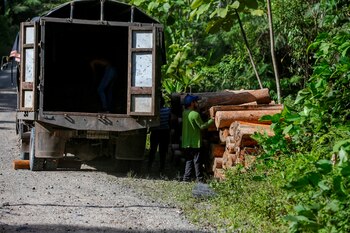 La consulta planteará reformas al