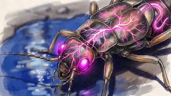 Un estudio identificó el mecanismo genético que usaría un gusano parásito para controlar la mente de los insectos