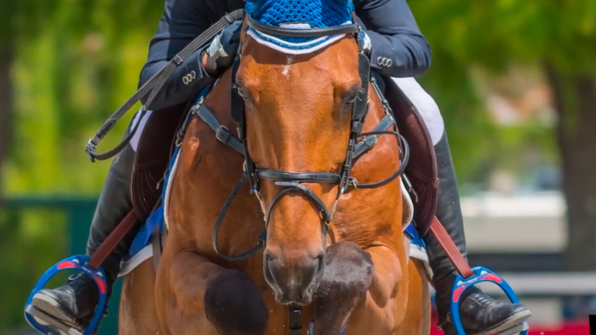 Mantilla De Salto Para Caballo Connie Azul - Suave, Resistente, Protección Contra Rozaduras Y Golpes