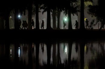 Selección. Fernando De la Orden. Volvió la gente a los bosques de Palermo