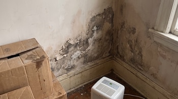 Esquina de una habitación con paredes enmohecidas, pintura pelada, cajas de cartón con manchas de agua, un deshumidificador blanco y un marco de ventana.