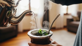 Cómo la menta en el