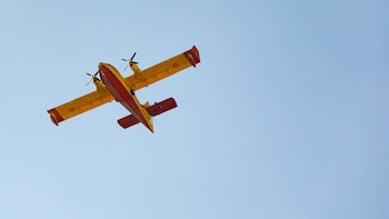 El Gobierno autoriza transferir 350.000 euros a Defensa para construir un hangar para la flota de aviones apagafuegos