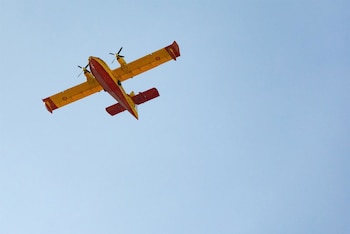 Imagen ZZ3VNAJXYJBF3DRBAVF2OGMPVI