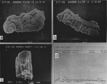 Los gases volcánicos de Erebus también contienen trazas de plata y cobre, además de oro (Meeker et al., Geophys. Res. Lett. , 1991)