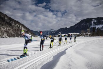 HANDOUT - La 50 edición