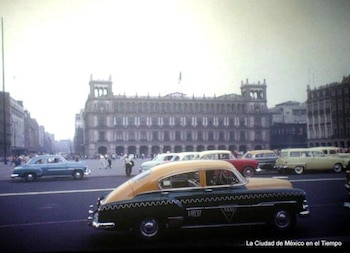 Los taxis cotorra se popularizaron
