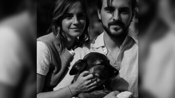 Sofía es una canina mexicana