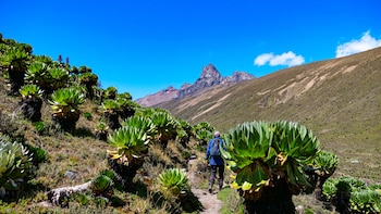 En tren lento desde Nairobi