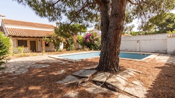 Los tres árboles que nunca debes plantar junto a tu piscina: pueden arruinar la alberca