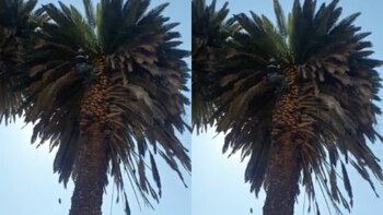 CDMX: tres días fueron necesarios