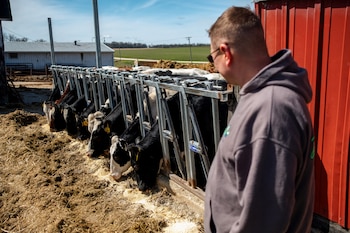 Expertos destacan que la constante