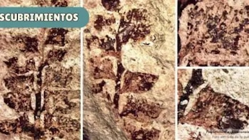 Increíble hallazgo en Perú: descubren