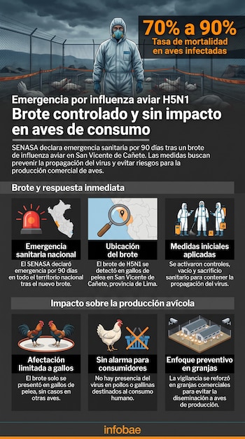 Una infografía presenta a una persona con traje de bioseguridad frente a aves muertas y una jaula, junto a gráficos sobre influenza aviar H5N1 en Perú.