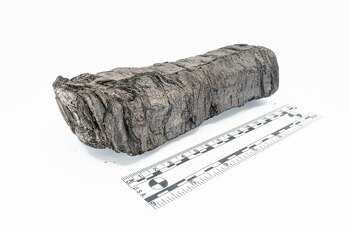 El proceso de digitalización y