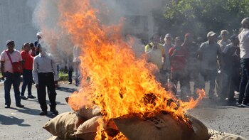 Cafetaleros de la frontera sur