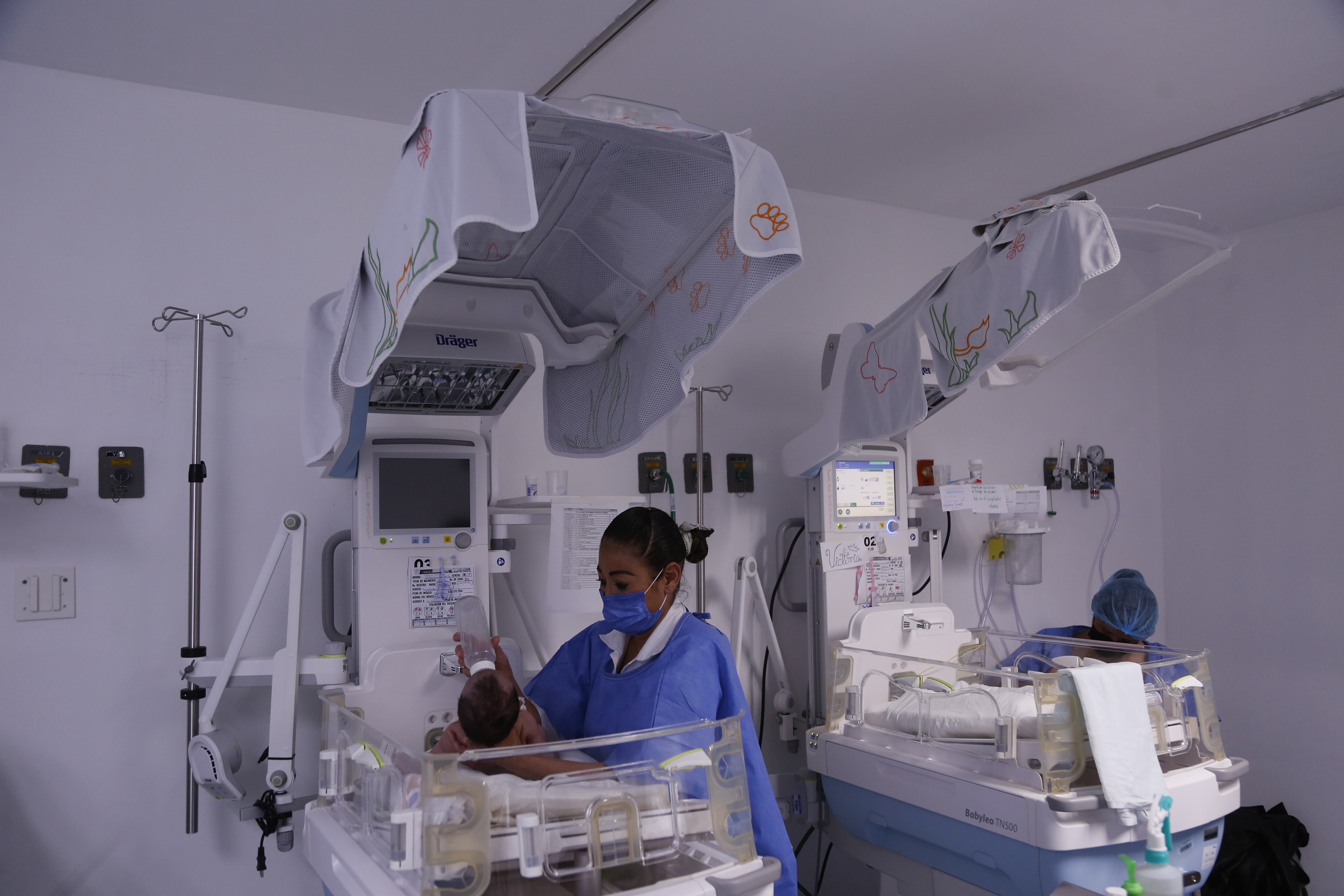 La enfermedad puede comenzar como un resfrío común y luego evolucionar a ataques de tos intensos con dificultades respiratorias, vómitos y riesgo de apnea
(EFE/Francisco Guasco)