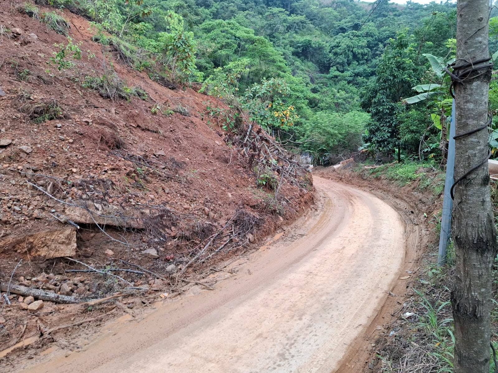 Un vehículo circula por un camino de tierra junto a un desprendimiento de ladera cubierto de rocas y vegetación. (Conerd Guatemala)