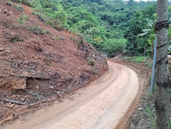Un vehículo negro circula por una carretera de tierra rodeada de vegetación y junto a un talud de tierra desprendida