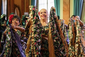 El subsidio mensual de 230.000