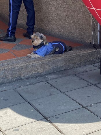 Su apariencia, con un uniforme