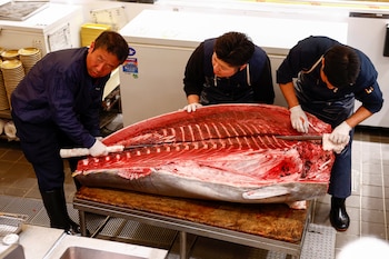 El pescador Masahiro Takeuchi expresó